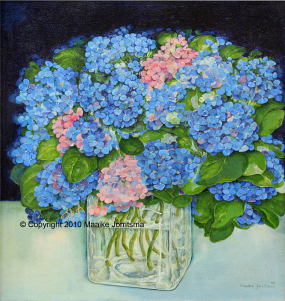 0366a Hortensia